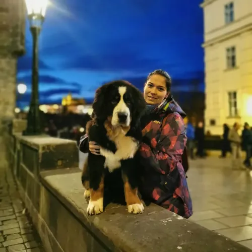 Dasha