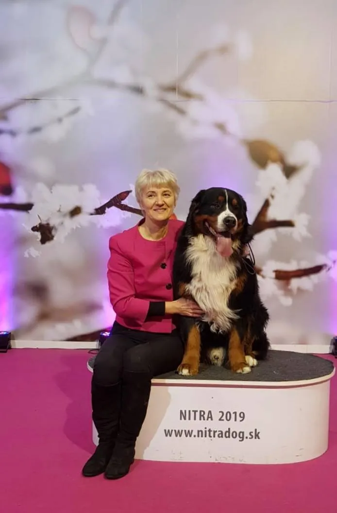 Luxury Prince Edgard Gold Heart