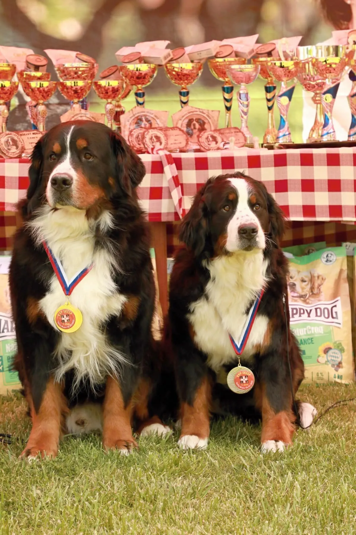 Luxury Prince Edgard Gold Heart