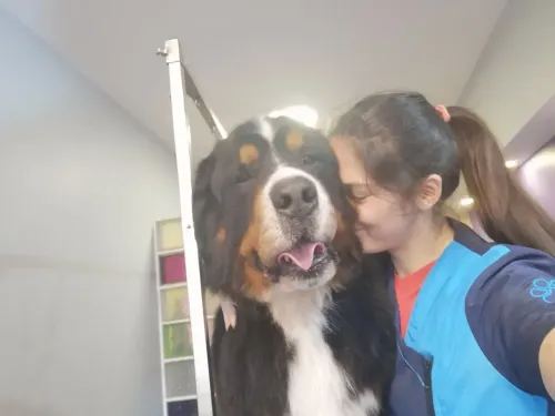 Axel