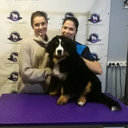 Bahita