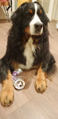 Bahita