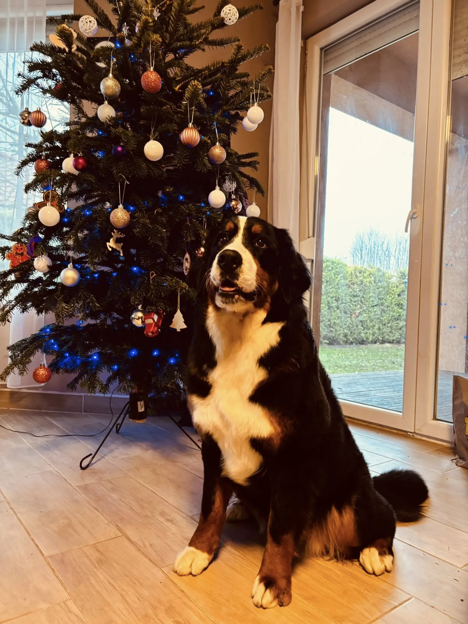 Lana