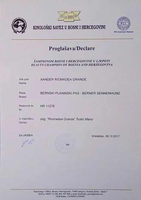 Xander Riomadea Grande