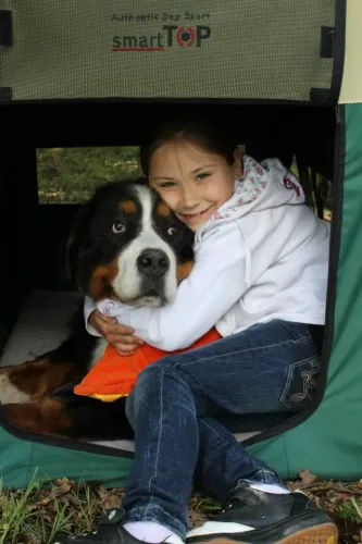 Alíz