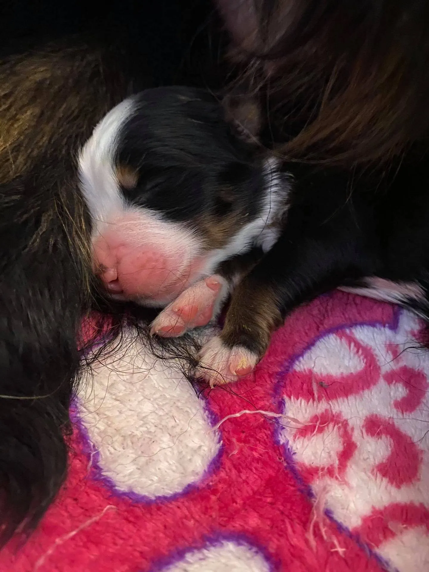 Hermione