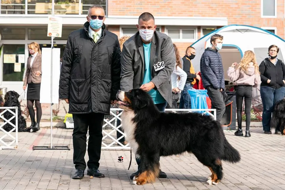 Dél-Alföldi Berni Taro