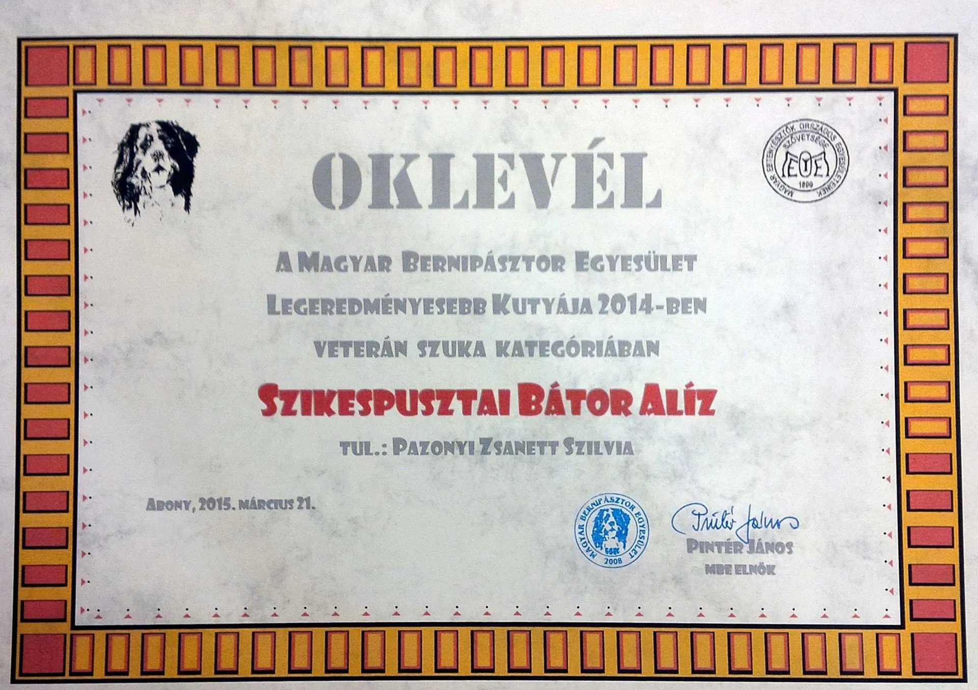 Év legeredményesebb kutyája