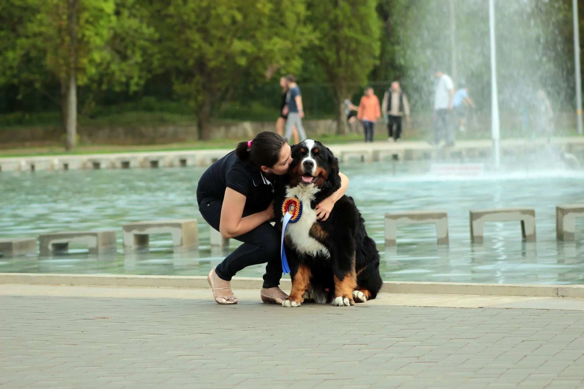 Románia Szatmárnémeti 2x CACIB