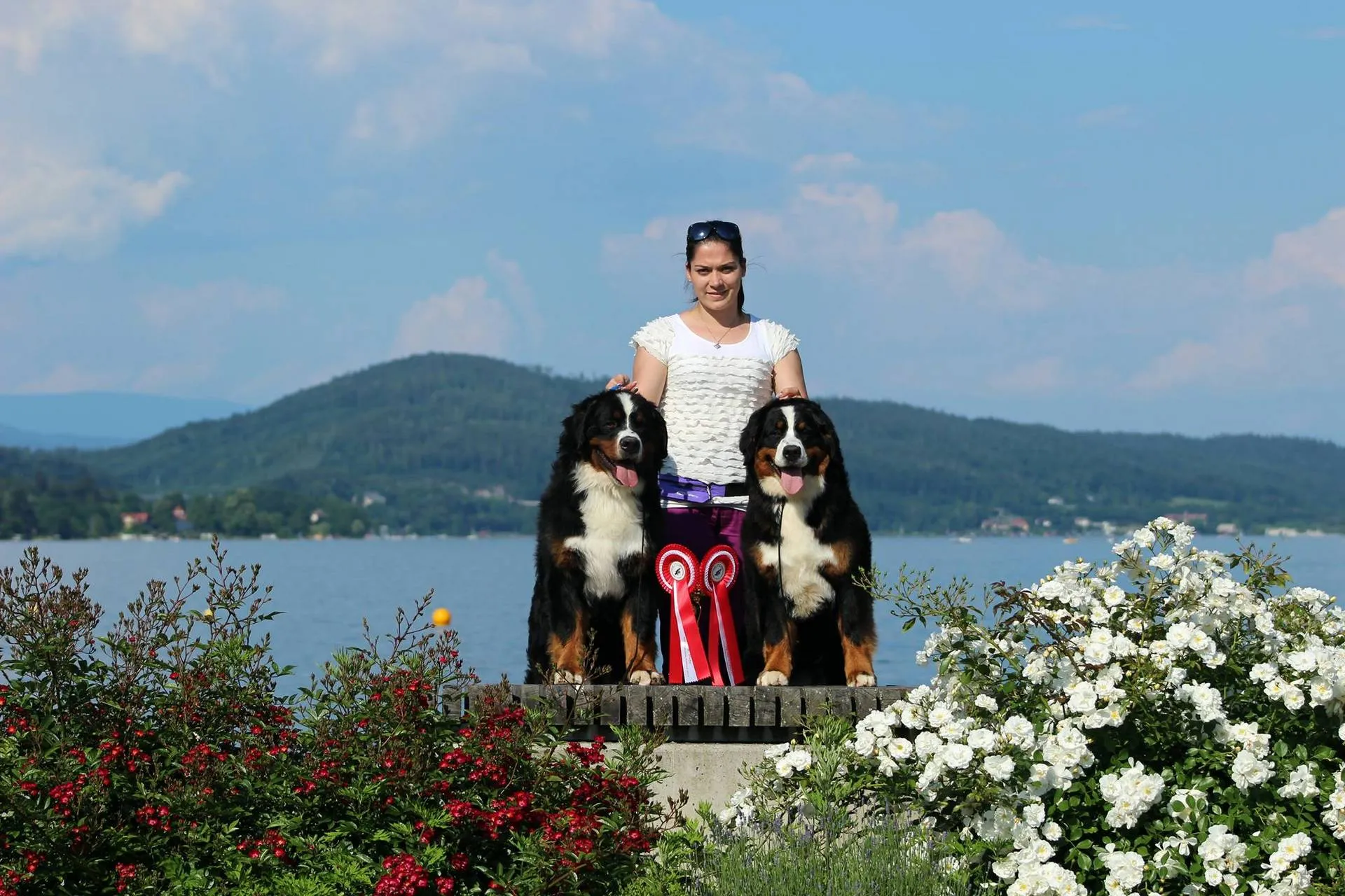 Bidental osztrák klubkiállítás