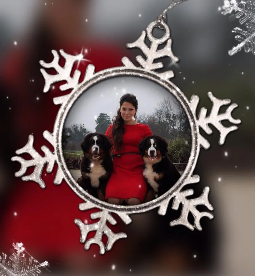 Kellemes karácsonyt 2015