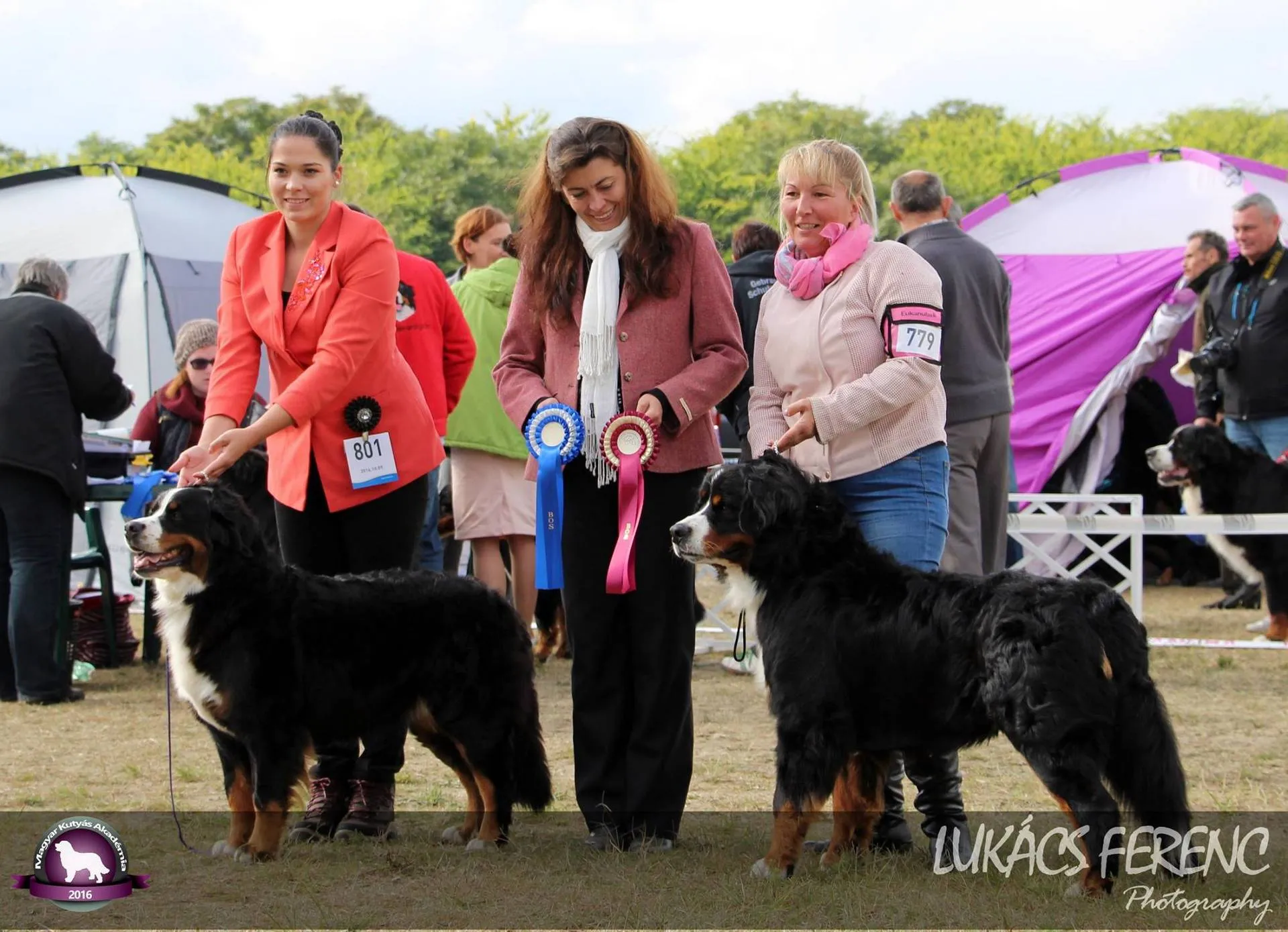 Komárom CACIB 2016