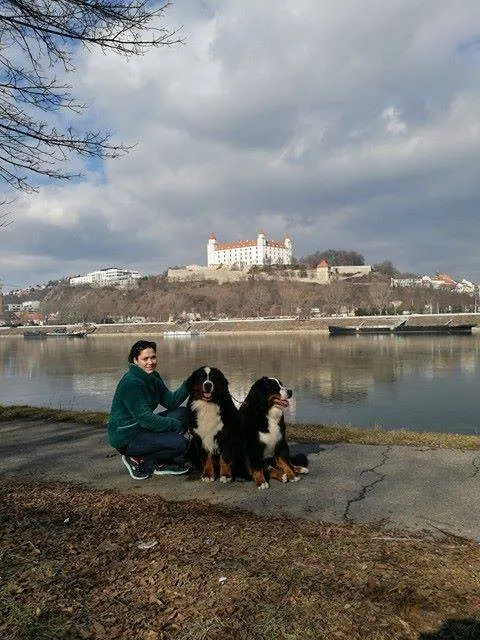 Zara szlovák champion