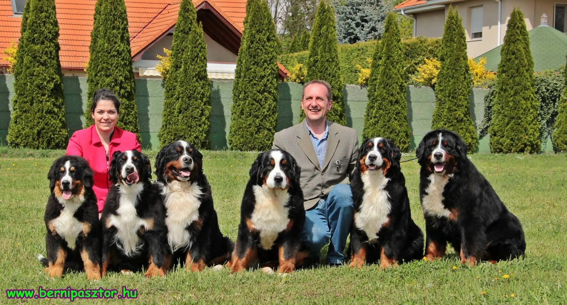 Debrecen 2x CACIB - Seuso és Alina