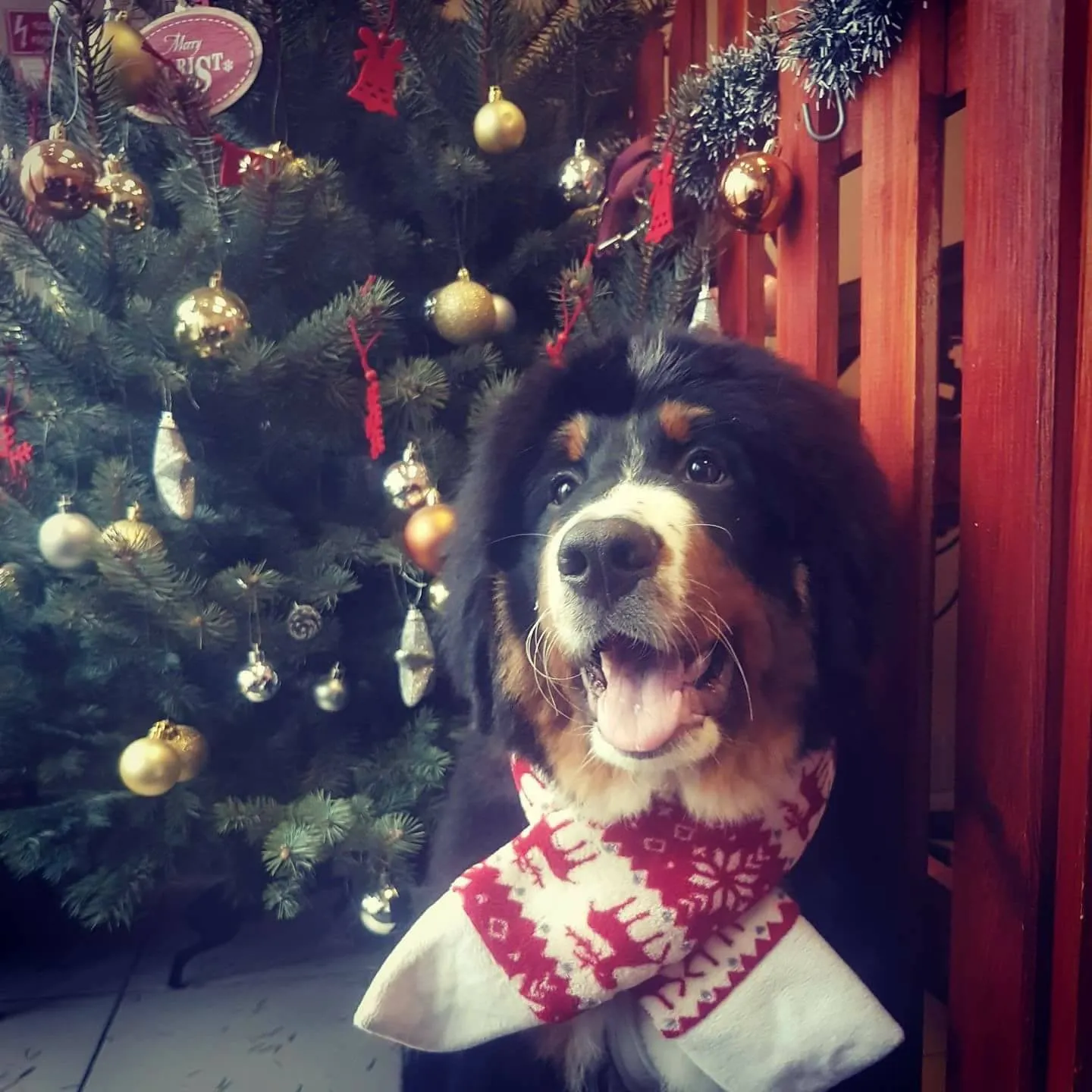 Boldog Karácsonyt 2017