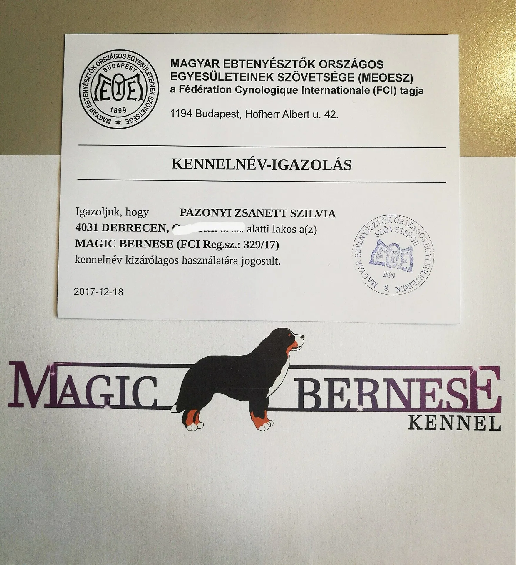 Magic Bernese névváltás