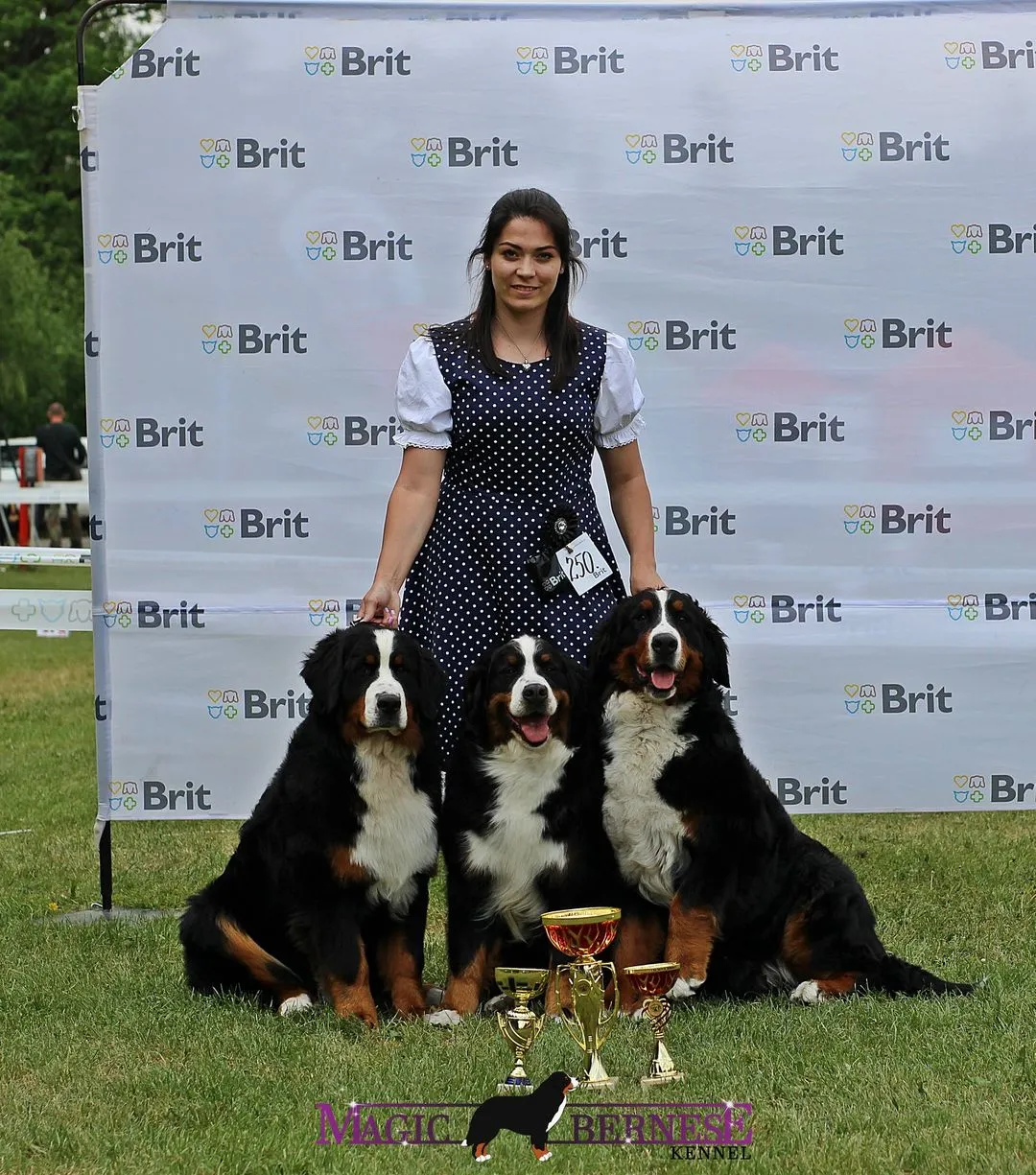 KSSP Cseh Berni klub kiállítás