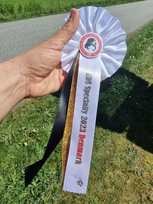 Dániában szerepelt Kevin