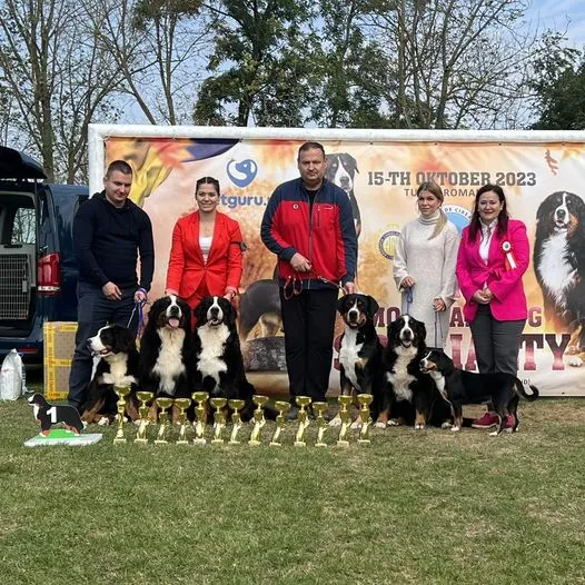 Román Speciál CAC- Torda