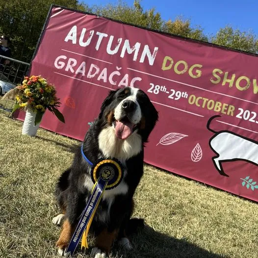 Bosznia-Hercegovina kiállításos hétvége