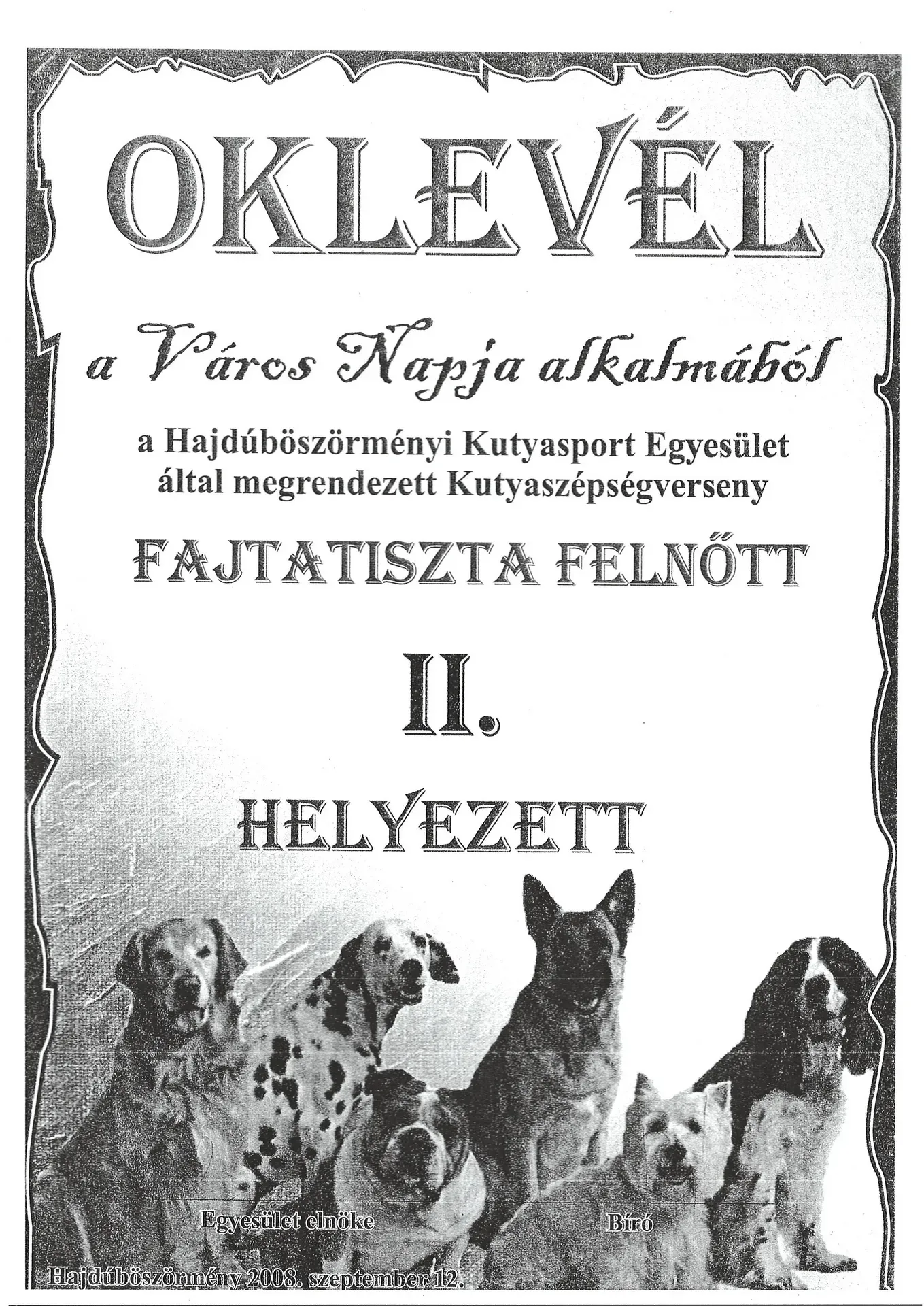 Városi kutyaszépségverseny