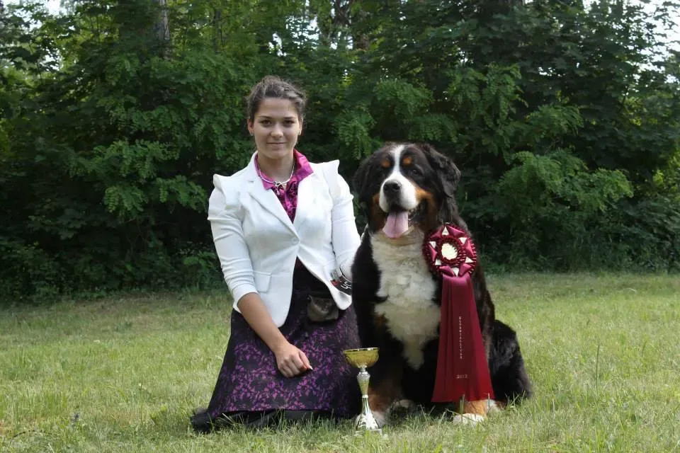 Gödöllő BSHC Klubkiállítás