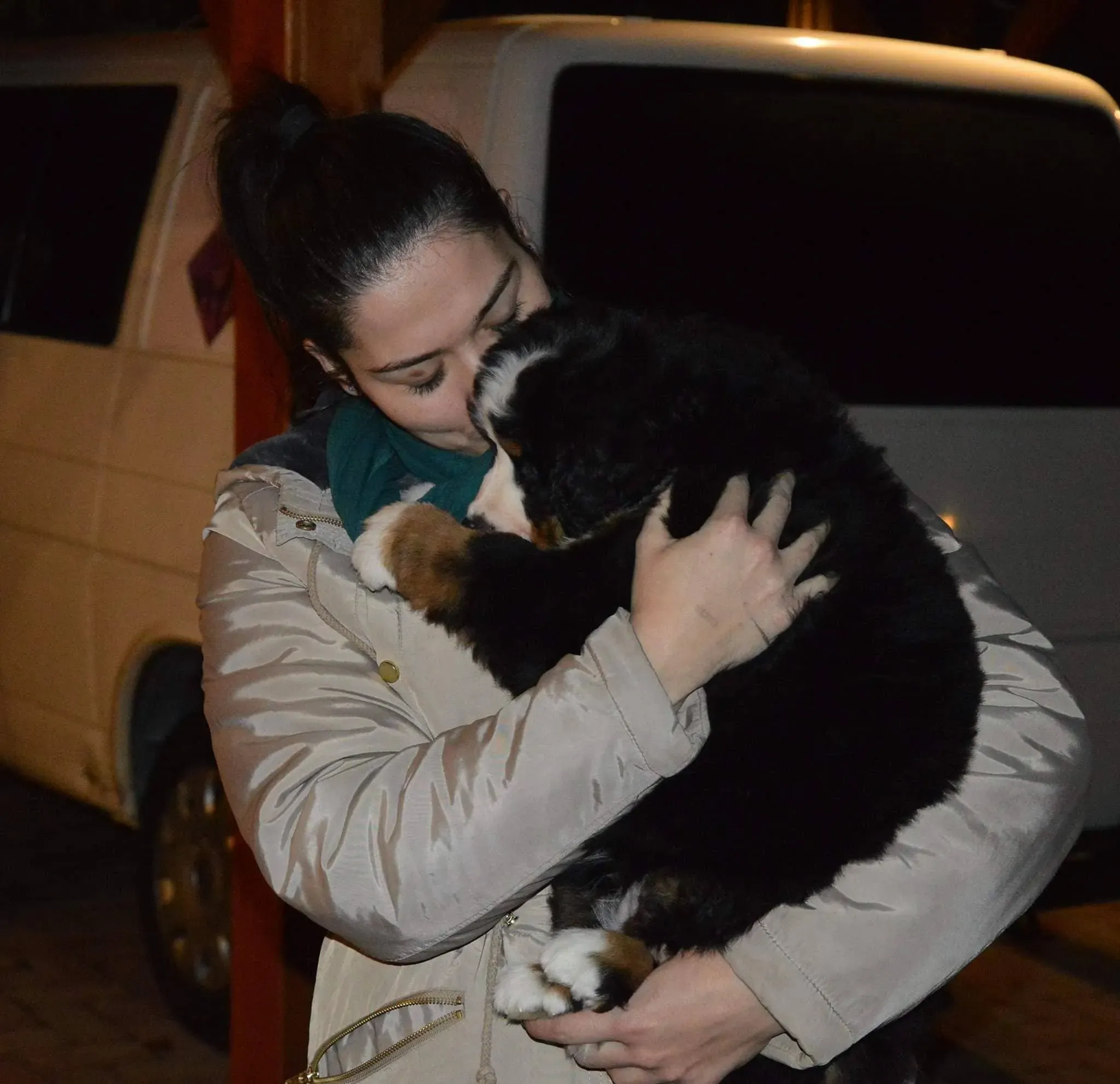 Celebrity Magic Bernese elköltözött