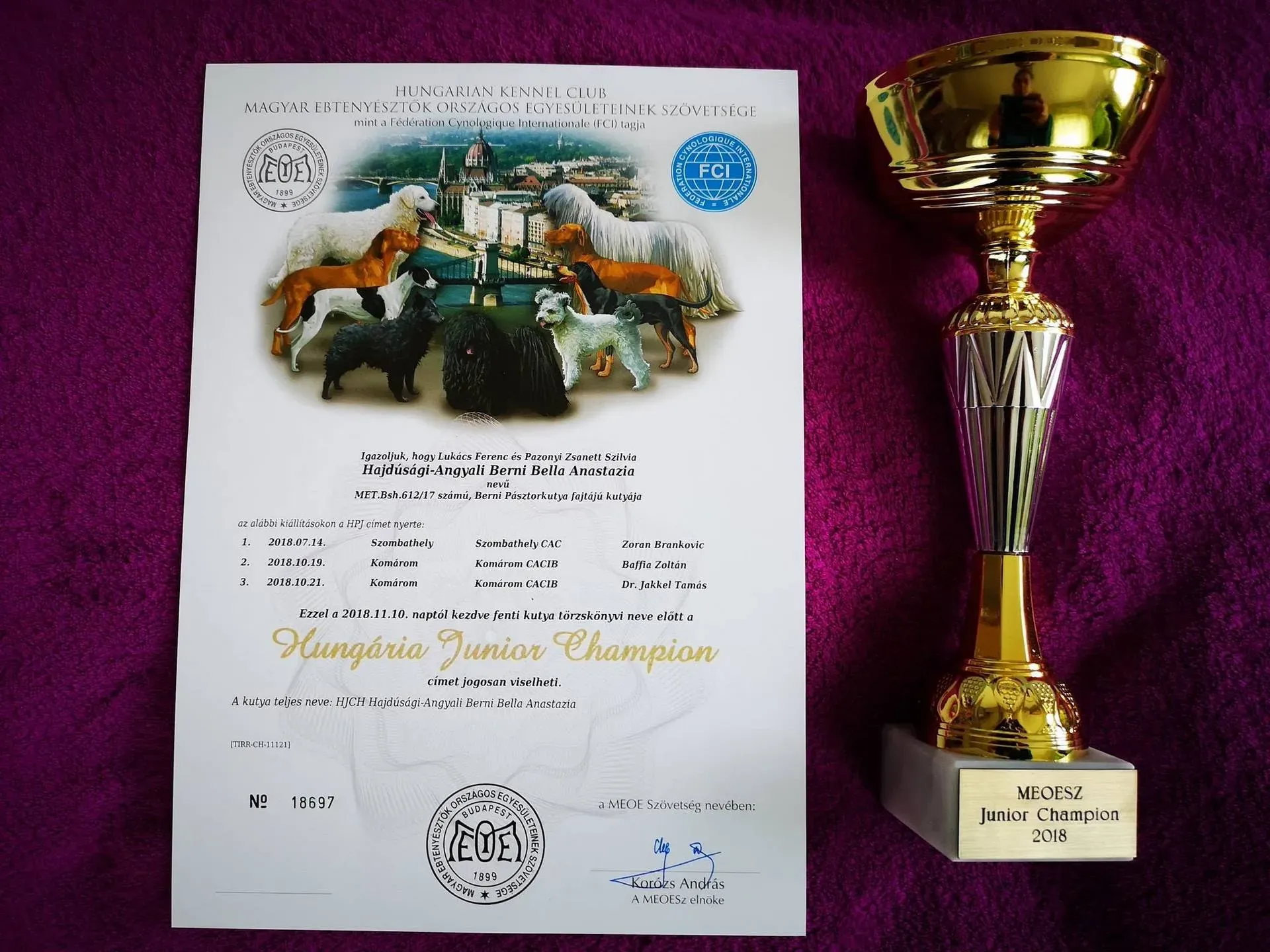 Bella Anastazia Junior Champion