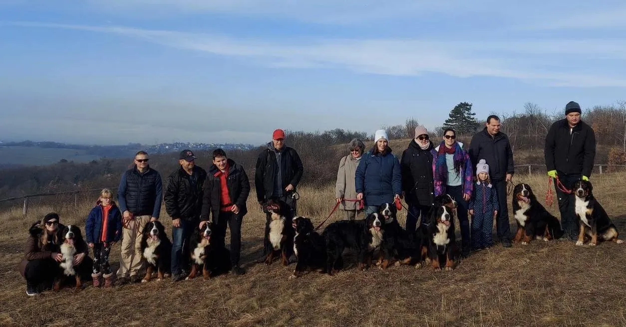 Év indító kennel séta