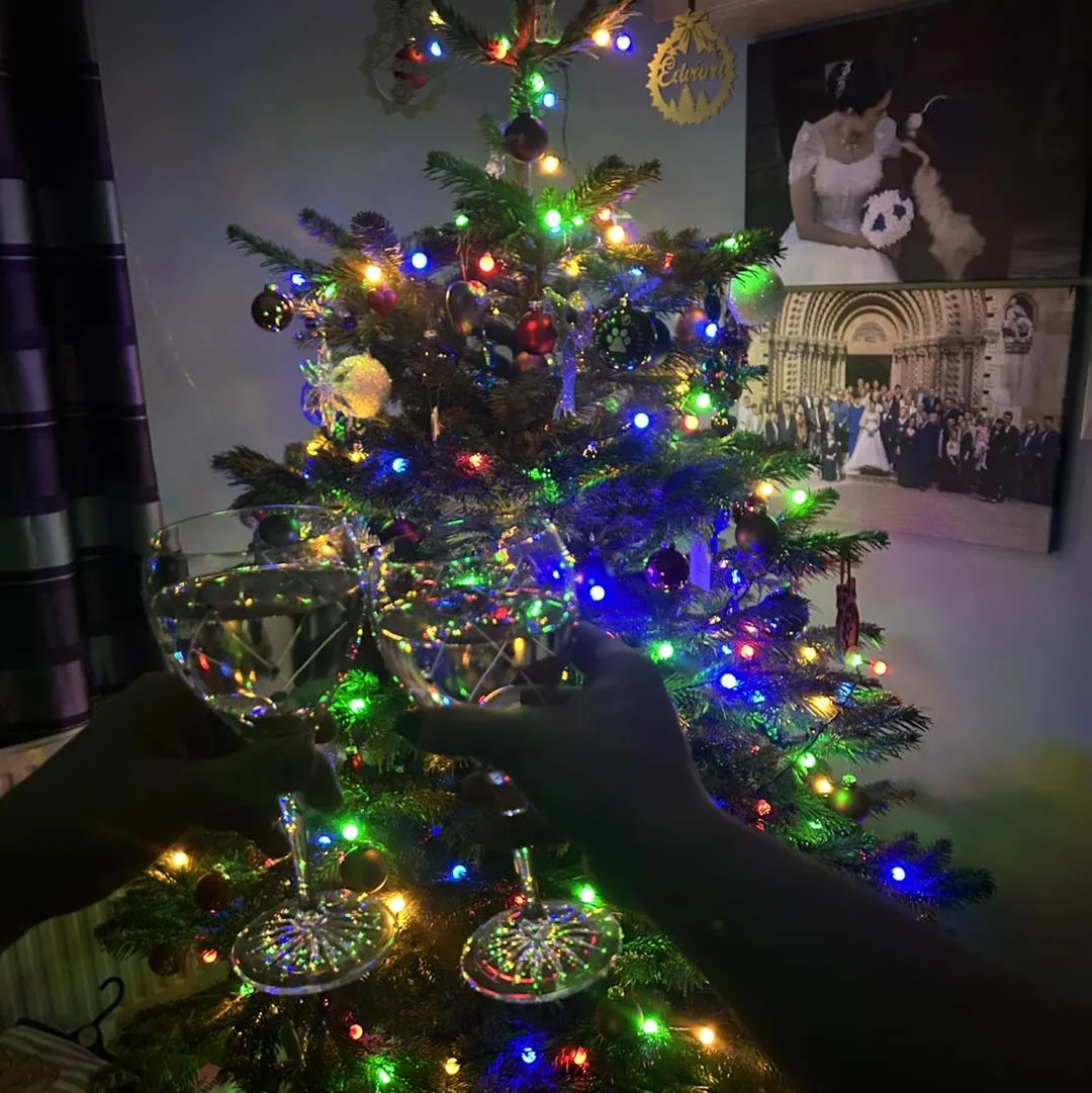 2025 évi összefoglalónk