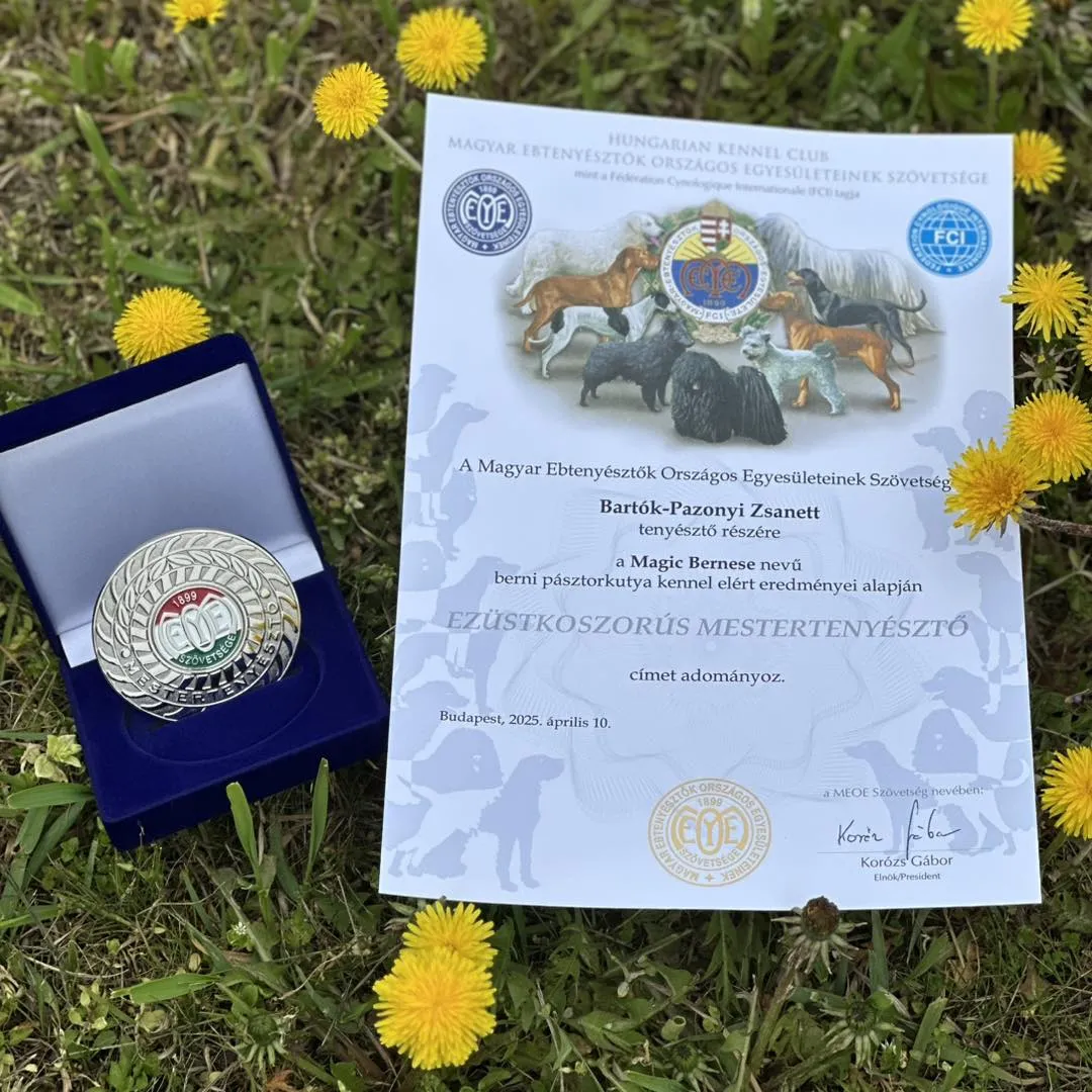 Tenyésztői szintet léptünk