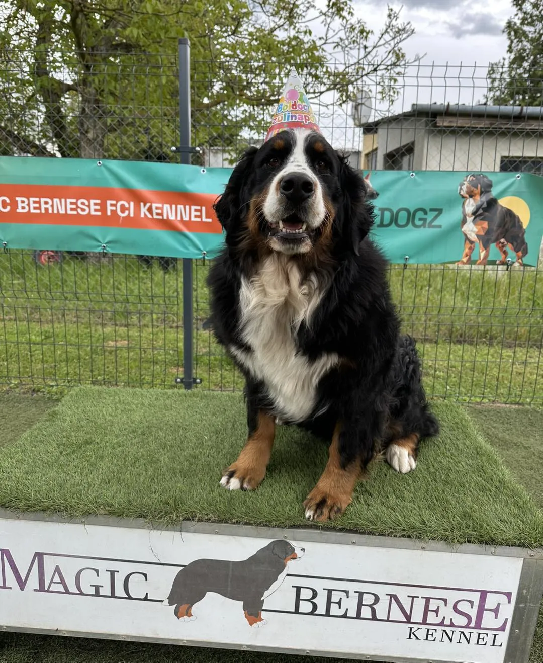 J-alom 4. születésnap