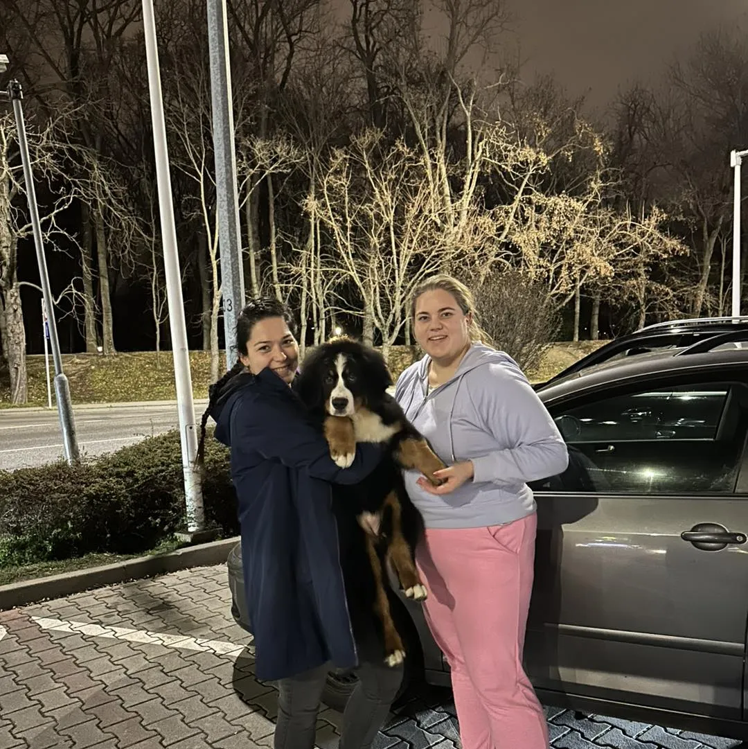 Új családtag Litvániából