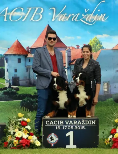 Varaždin 2x CACIB