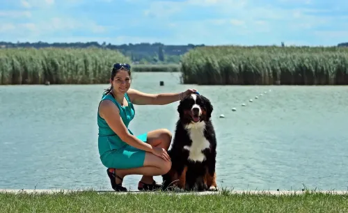 Lake Velence CACIB