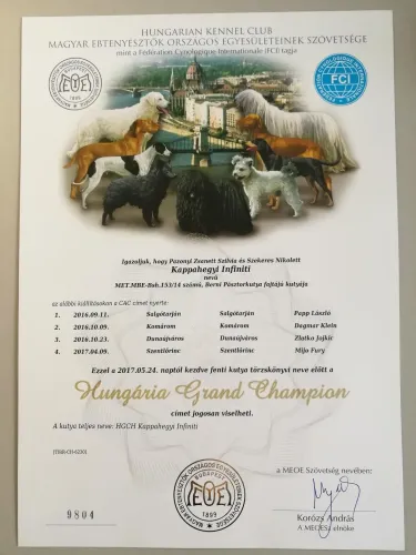 Zara Grand Champion