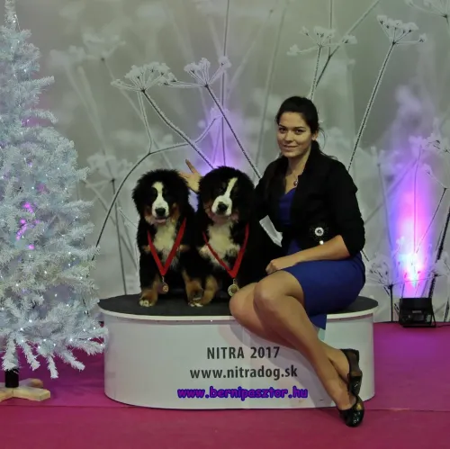 Nitra Winter Cup CACIB