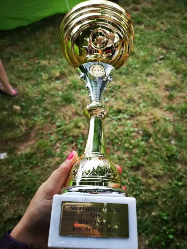 Szombathely Savaria Winner CACIB