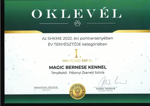 SHKME Vítěz roku