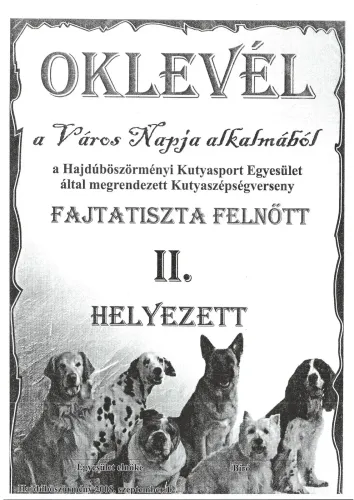 Town dog beauty contest