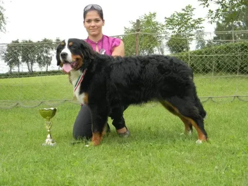 Hajdúdorog Regional Show 2010