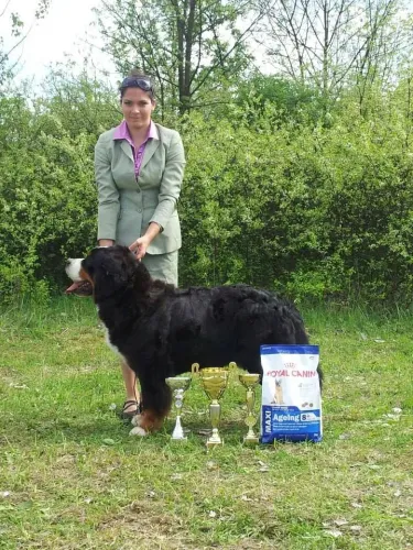 Miskolc CACIB CAC