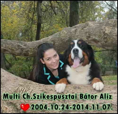 Alíz has passed away