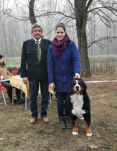 Bonitácia Aliny