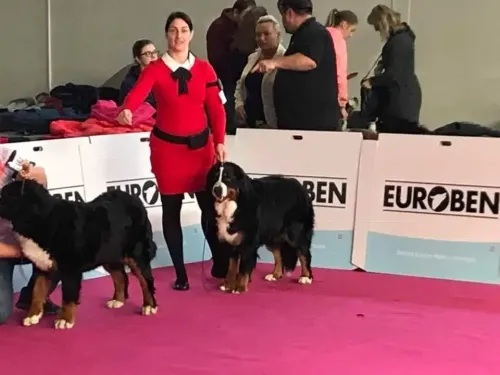 Déna Nitra CACIB