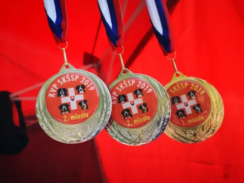 SKSSP Slovenská klubová výstava