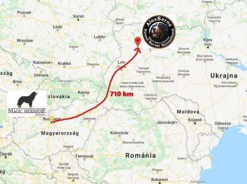 Bernská přehlídka na Ukrajině