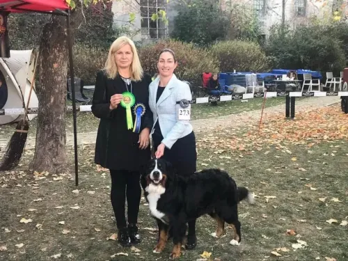 Déna v Oradei