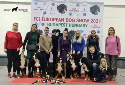 Europejska wystawa klubowa SHKME