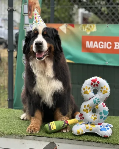 8. narozeniny vrhu B
